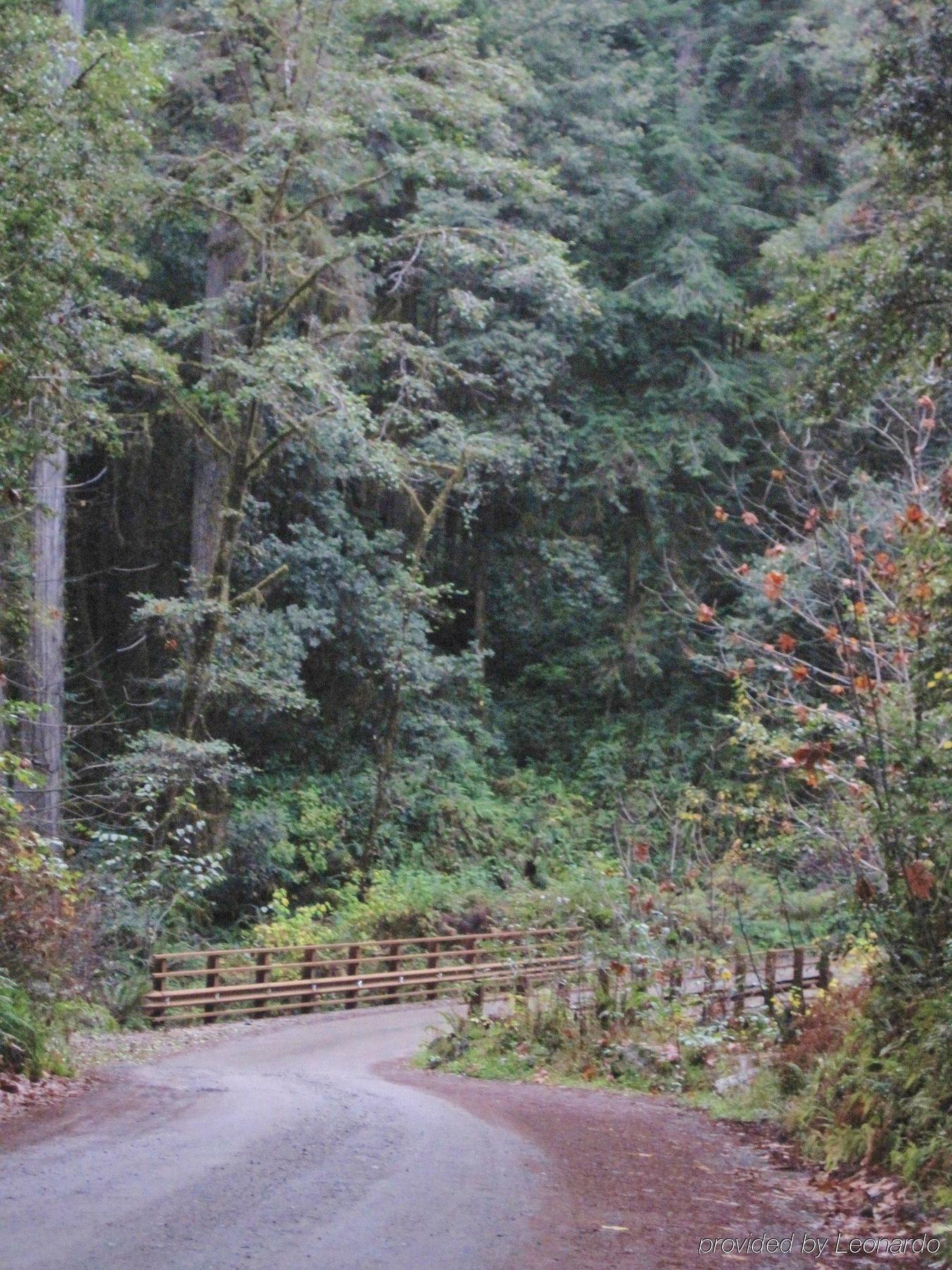North Coast Inn Crescent City Bagian luar foto